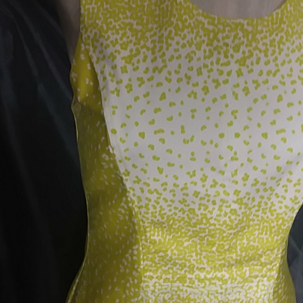 Dress - Picture 2 of 5